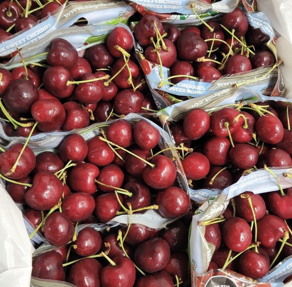 Photo 2025-04-02, 8 19 55 AM.jpg