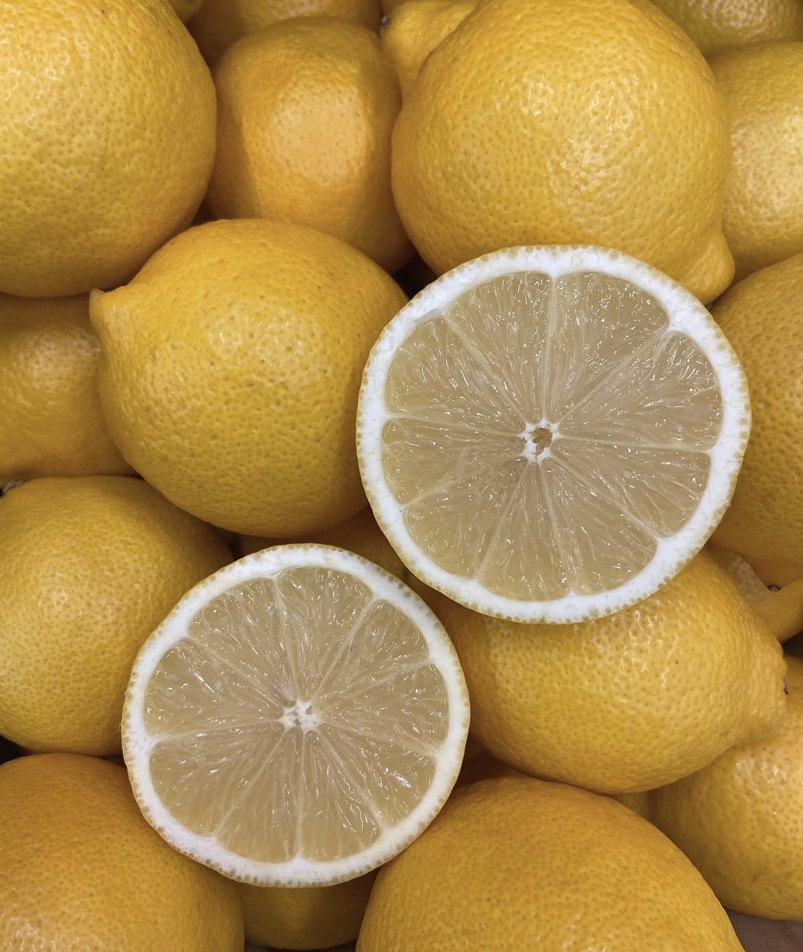 Photo 2025-04-02, 8 19 58 AM.jpg