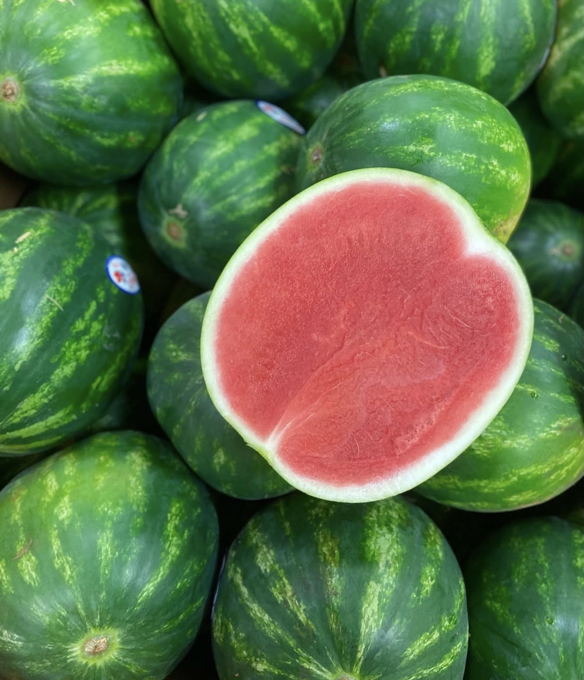 Photo 2025-04-02, 8 20 01 AM.jpg