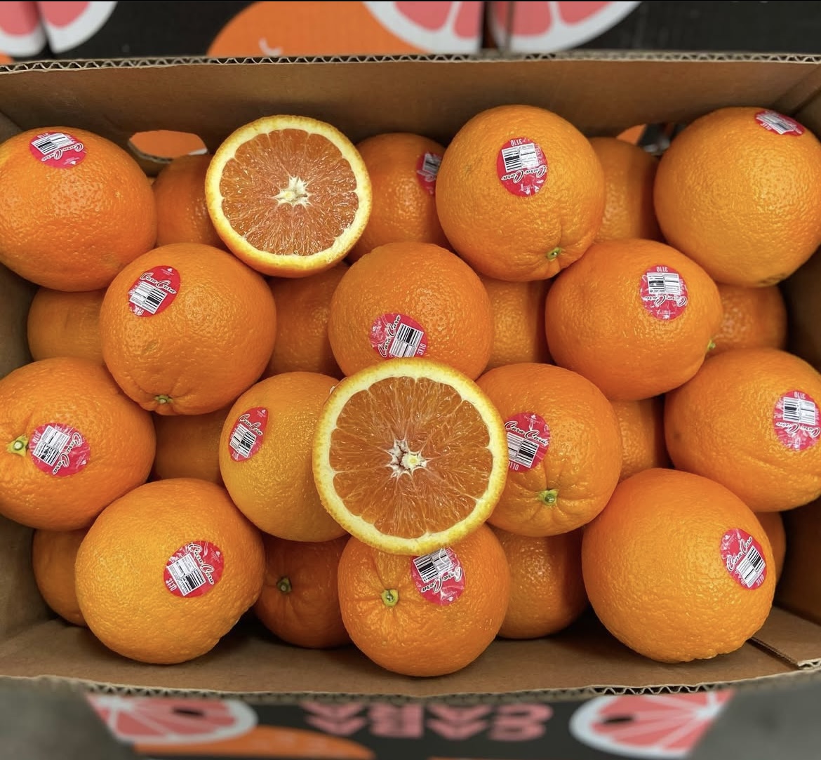 Photo 2025-04-02, 8 20 14 AM.jpg