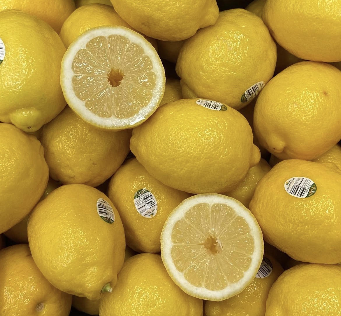 Photo 2025-04-02, 8 20 16 AM.jpg