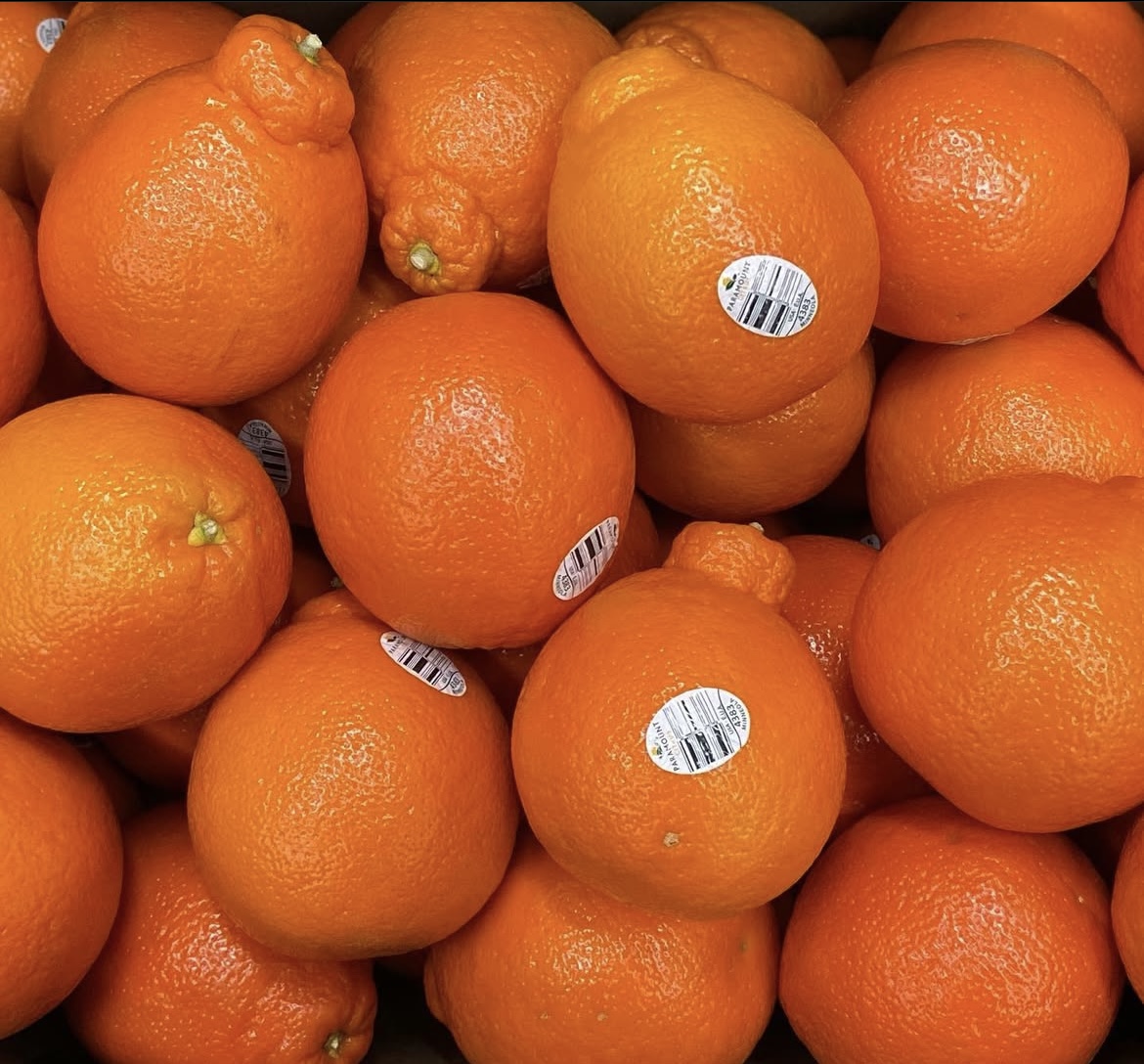 Photo 2025-04-02, 8 20 19 AM.jpg