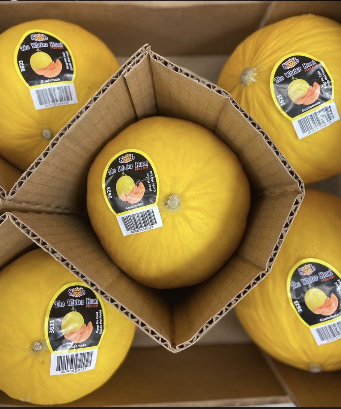 Photo 2025-04-02, 8 20 41 AM.jpg