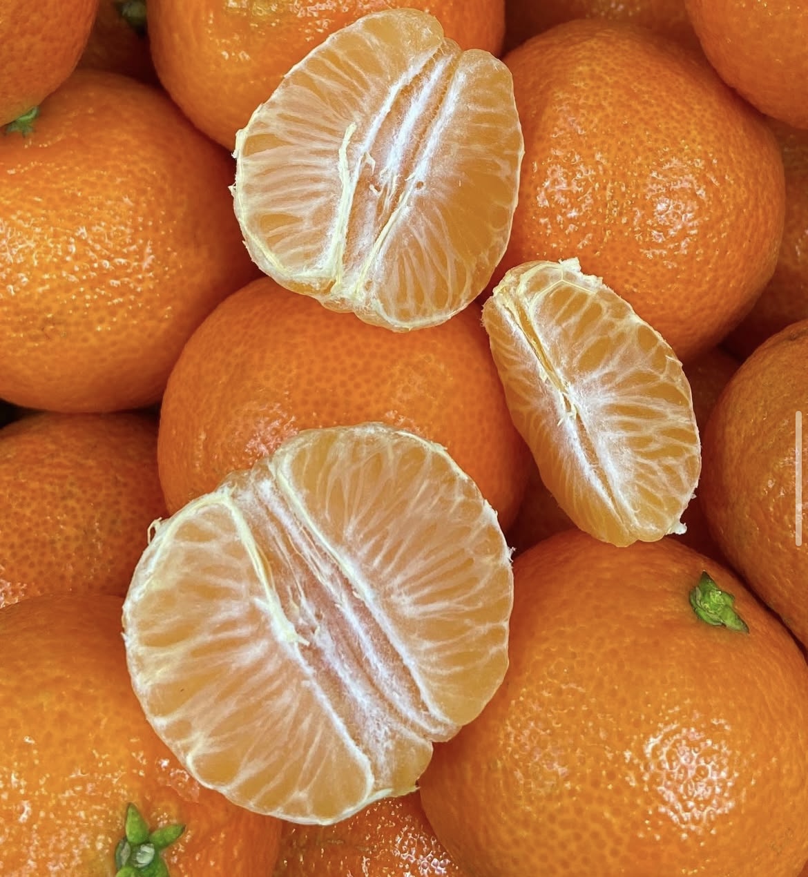 Photo 2025-04-02, 8 20 46 AM.jpg