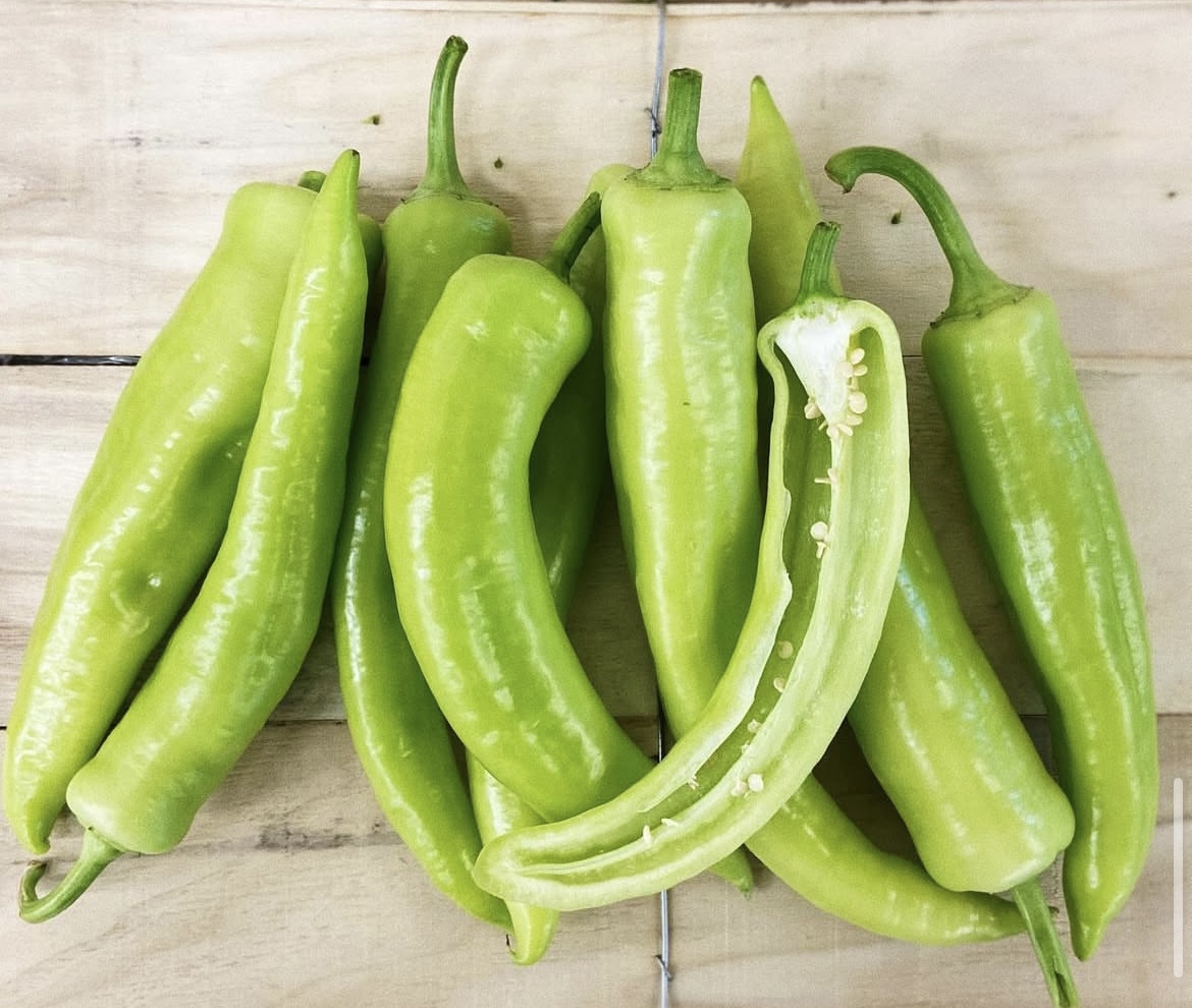 Photo 2025-04-02, 8 20 55 AM.jpg