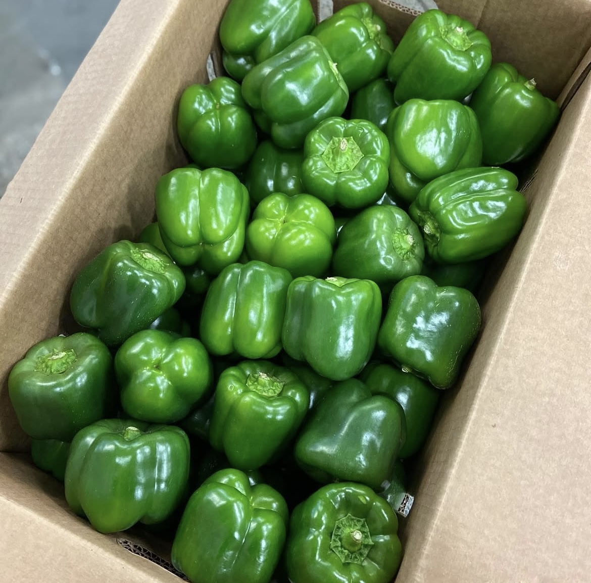 Photo 2025-04-02, 8 21 06 AM.jpg