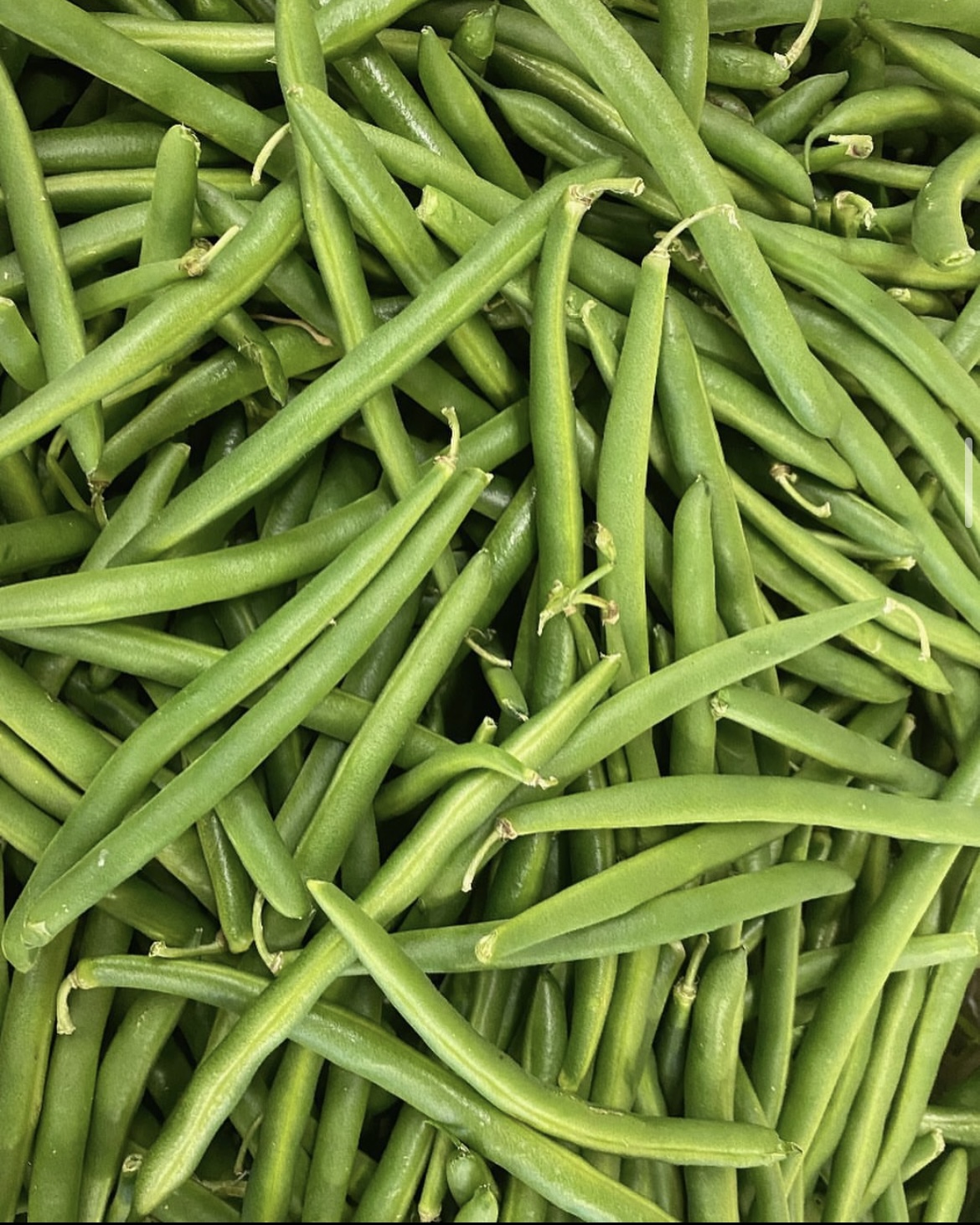 Photo 2025-04-02, 8 21 14 AM.jpg