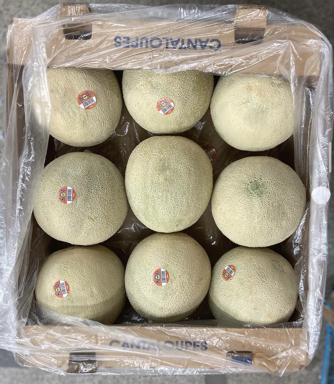 Photo 2025-04-02, 8 21 27 AM.jpg