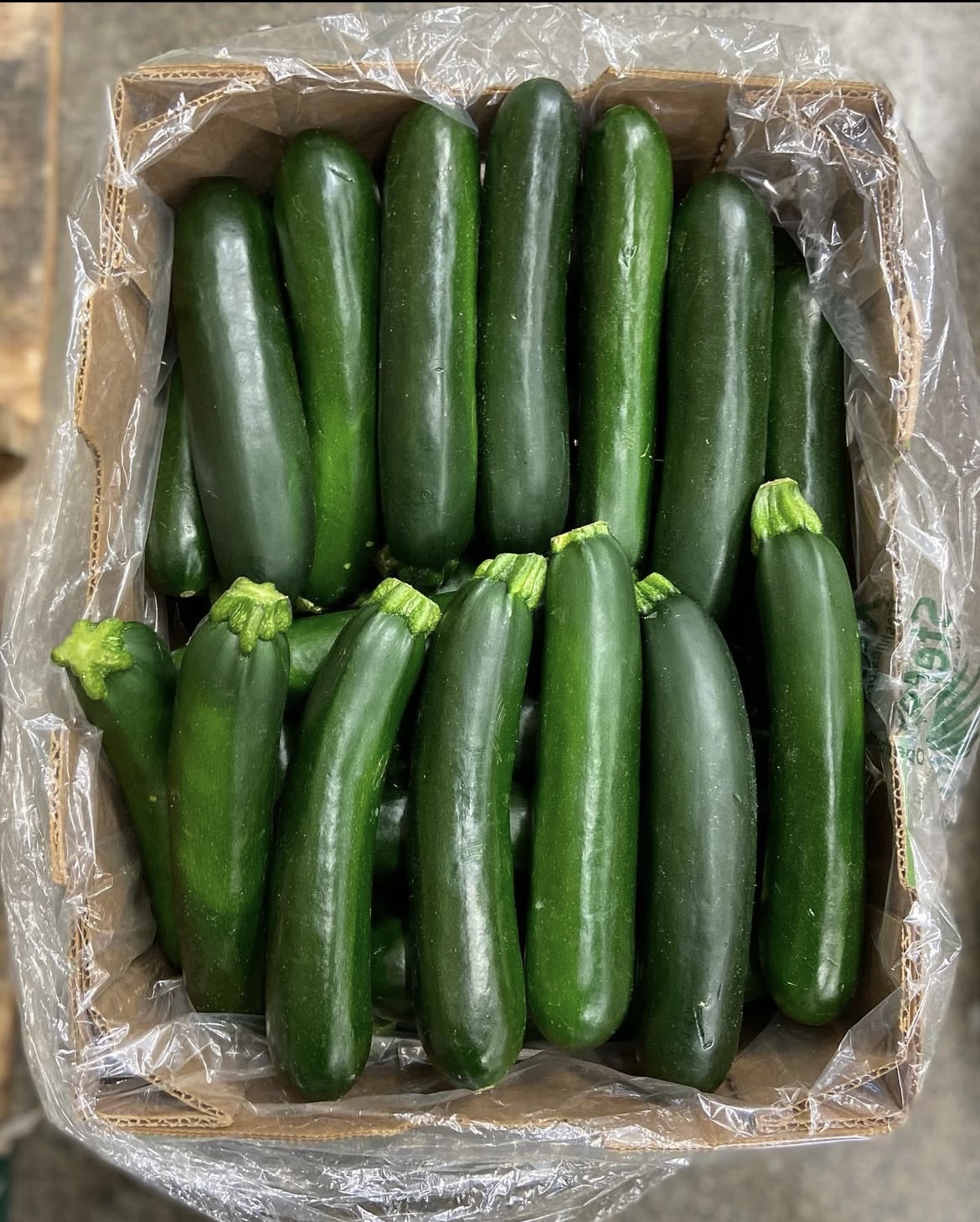 Photo 2025-04-02, 8 22 00 AM.jpg