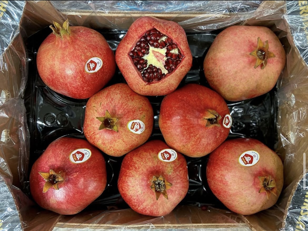 Photo 2025-04-02, 8 22 07 AM.jpg