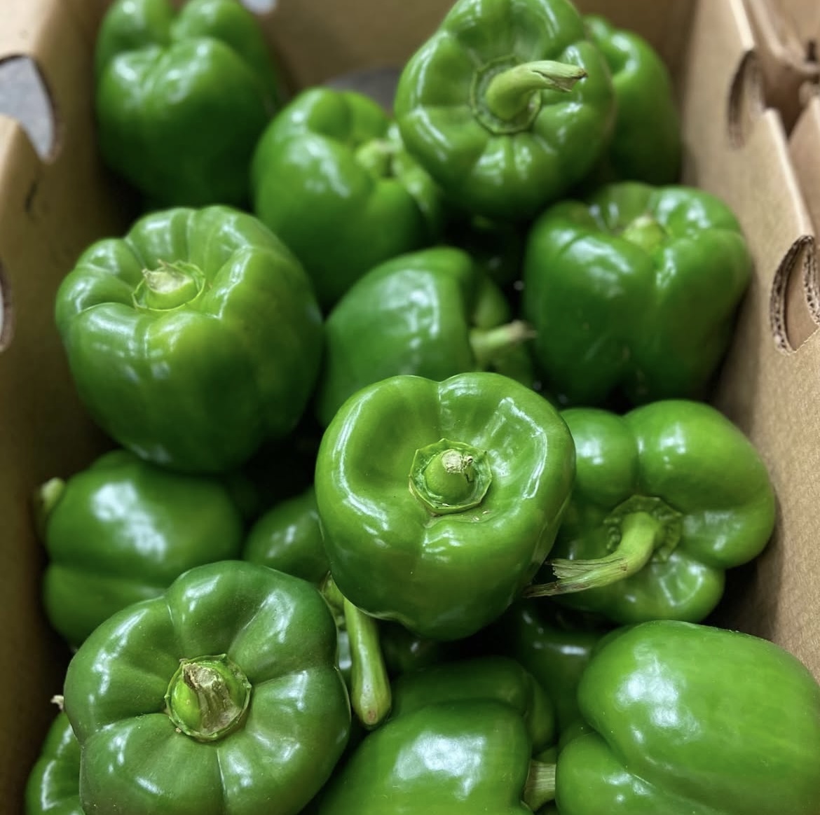 Photo 2025-04-02, 8 22 15 AM.jpg