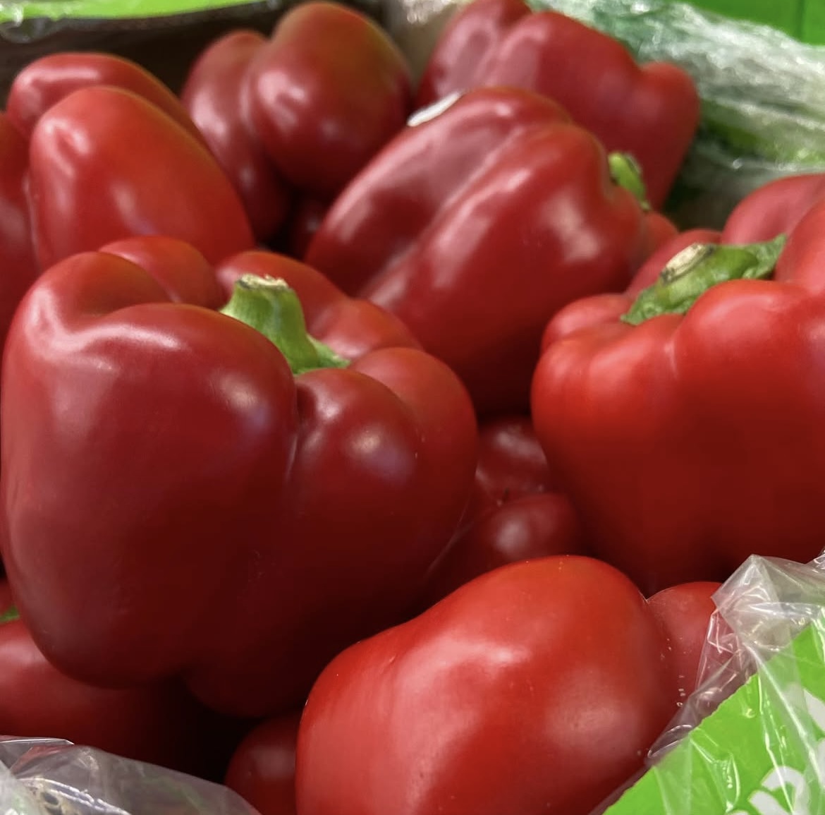 Photo 2025-04-02, 8 22 23 AM.jpg