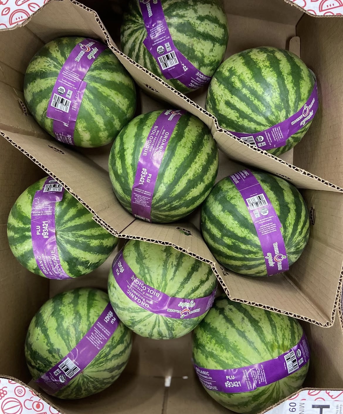 Photo 2025-04-02, 8 22 36 AM.jpg