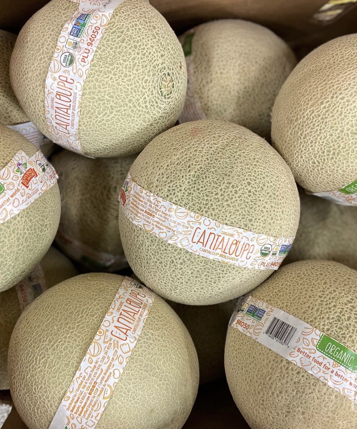 Photo 2025-04-02, 8 22 42 AM.jpg