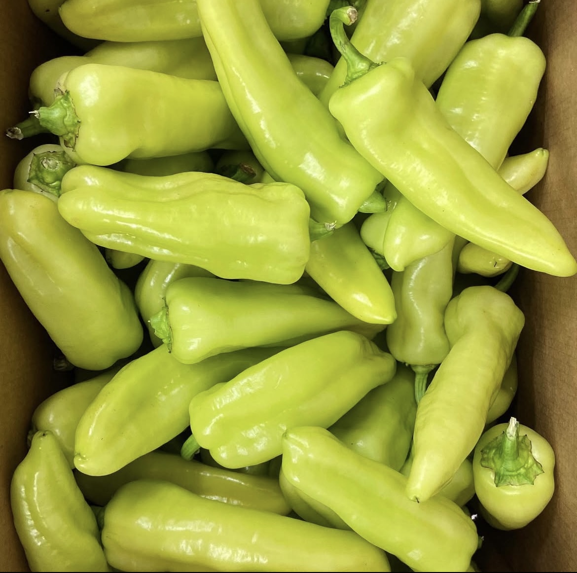 Photo 2025-04-02, 8 22 48 AM.jpg