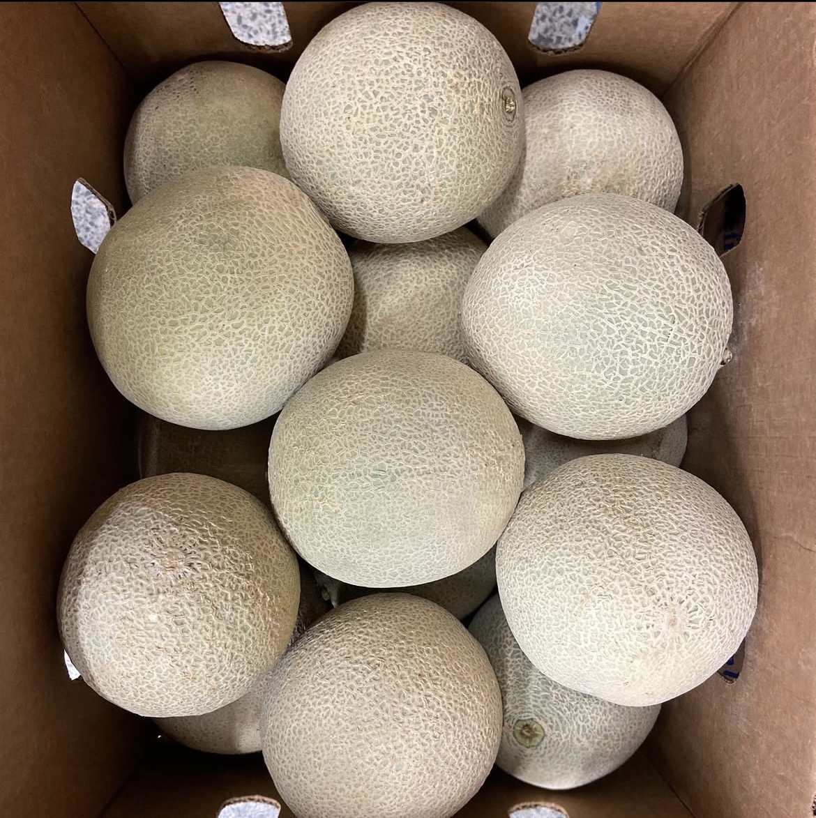 Photo 2025-04-02, 8 22 52 AM.jpg