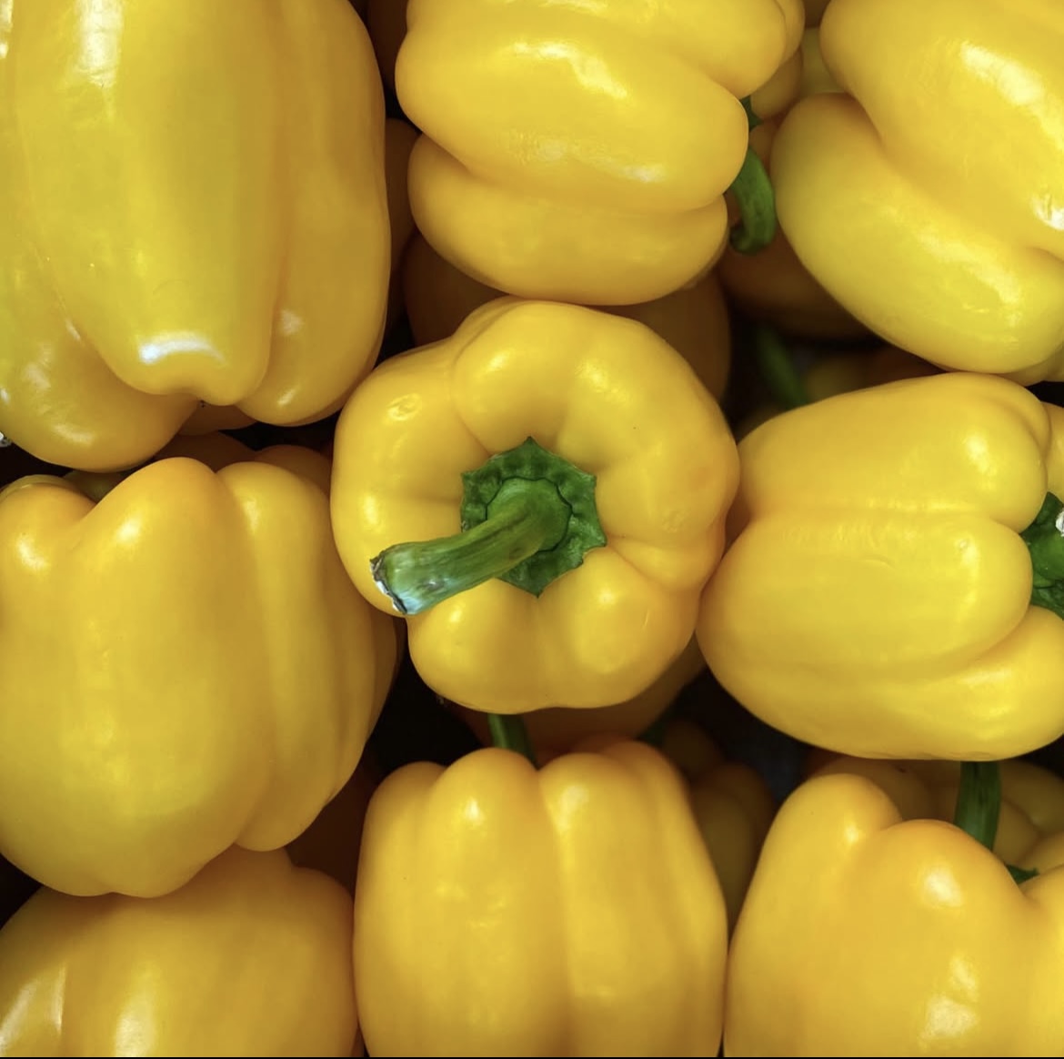 Photo 2025-04-02, 8 23 05 AM.jpg